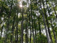 -渤公岛生态公园