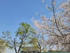 -龙美术馆(西岸馆)