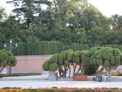 -丽池公园