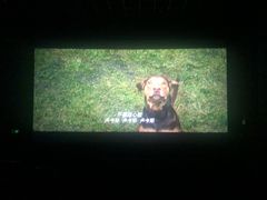 -博纳国际影城(南联IMAX店)