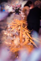 -忆江南婚礼策划(姑苏店)