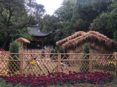 -汇龙潭