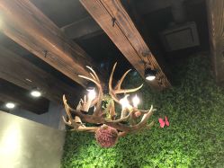 -V-STAR威斯达•高级私人定制