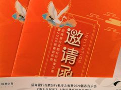 -合肥大剧院
