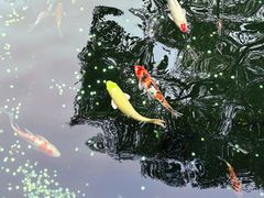 -杭州电子科技大学(下沙校区)