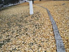 -辽宁大学(崇山校区)