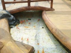 -大顶子山温泉旅游区