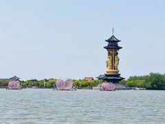 -溱湖国家湿地公园