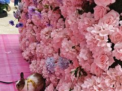 -上海长风大悦城