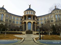 -星光岛