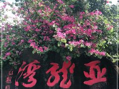 -亚龙湾热带天堂森林公园