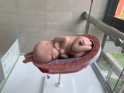 -重庆市妇幼保健院(冉家坝院区)