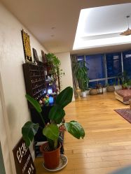 -Elite by Apsara洢spa