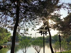 -钓鱼台国宾馆