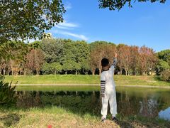 -菊园百果园