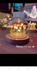 -梓爱月子中心(花都店)