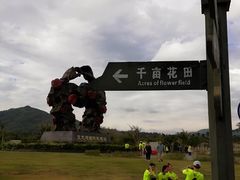 -亚龙湾国际玫瑰谷