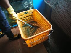-大鹅岛灶台鱼·铁锅炖(水库路店)