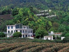 -龙坞茶村