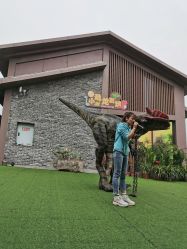 点击看大图 -恐龙探索乐园(磁器口店)