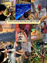 -Zoolung Zoolung动物主题公园(海信广场店)