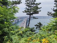 -星海湾跨海大桥