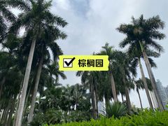 -广州珠江公园