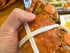 -品鲜村农家菜·阳澄湖大闸蟹(总店)
