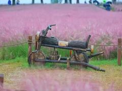 -汉长安城未央宫国家考古遗址公园