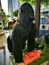 点击看大图 -IMON·HANSA潮玩玩偶毛绒玩具(通州万象汇店)