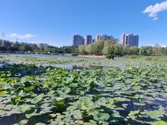 -太阳宫公园