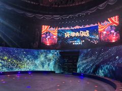 -武汉杂技厅