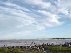 -南汇新城海滩