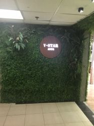 -V-STAR威斯达•高级私人定制