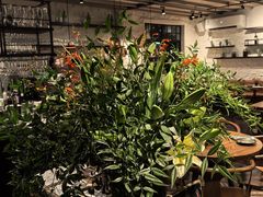 -Apollo·西班牙小酒馆(安福路店)