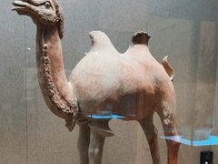 -敦煌市博物馆