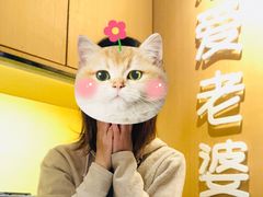 -爱妻鱼•老体北重庆水煮鱼•川菜(白云路店)