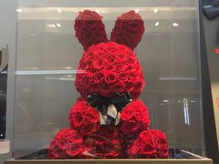 -ROSEONLY诺誓(青岛万象城店)