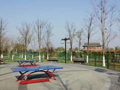 -西海子公园
