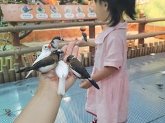 -萌宠奇缘