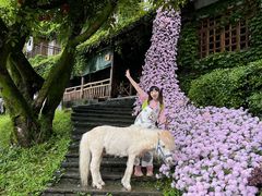 -巴倒烫陆派火锅山庄(南山总店)