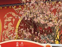 -越秀西湖花市(广州城市广场花卉店)