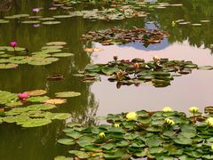 -国家植物园南园