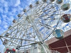 -广东花都香草世界旅游度假区