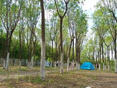 -西青郊野公园