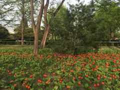 -玲珑塔公园