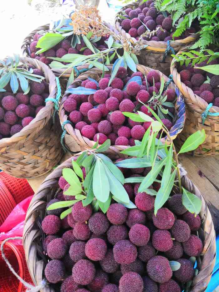 东山乌紫杨梅-"919191正宗东山乌紫杨梅上市啦,要吃.