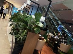 -THE WOODS 简餐 (国贸商城店)