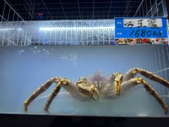 -纯味斑鱼府(上海总店)