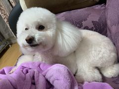 -北京恒爱动物医院(清景园分院)